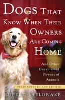 Dogs That Know When Their Owners Are Coming Home & Other Unexplained Powers of Animals