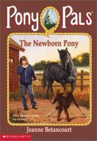 The Newborn Pony