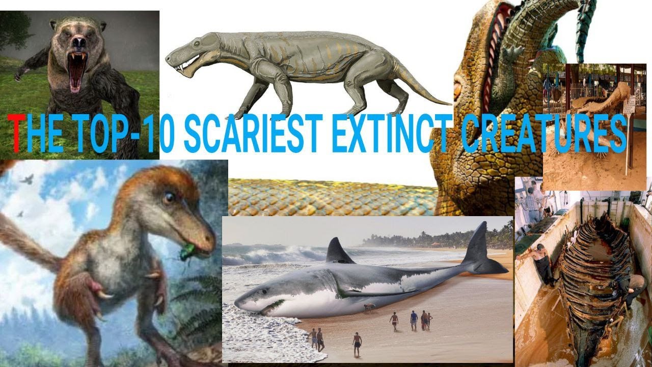 Amazing Top-10 scariest extinct animals. - YouTube