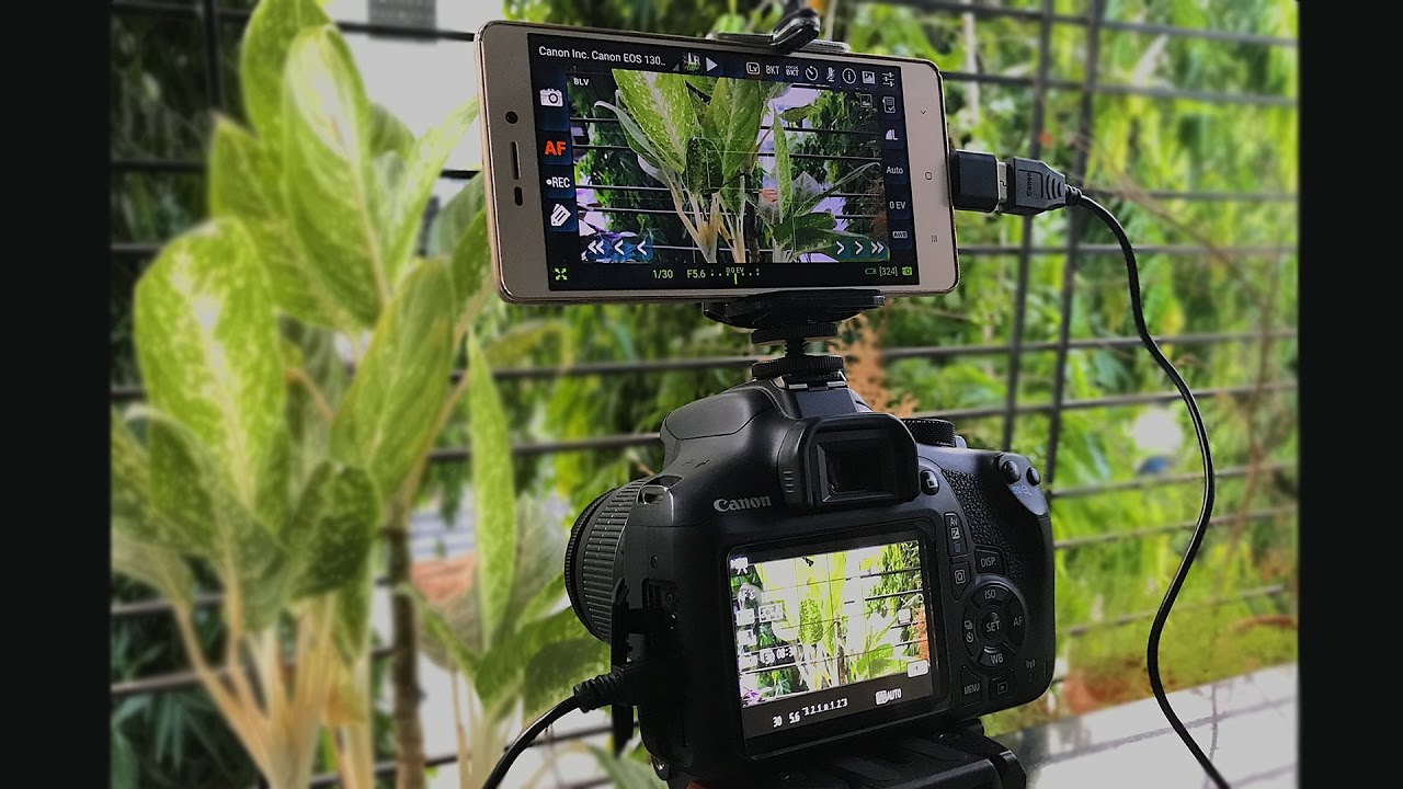 DIY Use your Smartphone as a DSLR Monitor YouTube