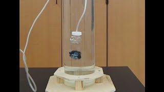 Diving bear--Cartesian diver and submarine-like behavior   /// Homemade Science with Bruce Yeany