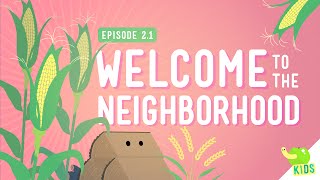 Resources: Welcome To The Neighborhood - Crash Course Kids #2.1