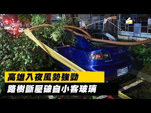 驚！高雄入夜後風勢強勁　轎車玻璃慘遭倒塌路樹壓毀｜NOWnews