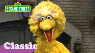 Sesame Street: Everybody In My Family With Big Bird