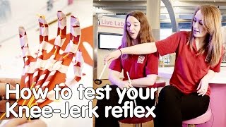 How to test your knee-jerk reflex | Do Try This At Home | We The Curious