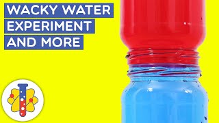 Wacky Water Science Experiment #shorts #backtobasics #expreiments #science