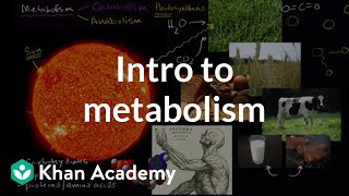 Introduction To  Metabolism: Anabolism And Catabolism