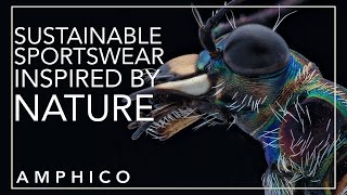 Bio-Inspired Clothing Technology: How Insects Inspire Better Waterproof, Breathable Sportswear