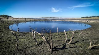 video: UK weather: Farmers warn of crop failure in biggest English drought in 20 years