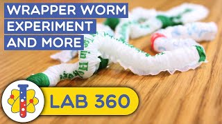 How To Make Wrapper Worm | #Science #Experiments #shorts