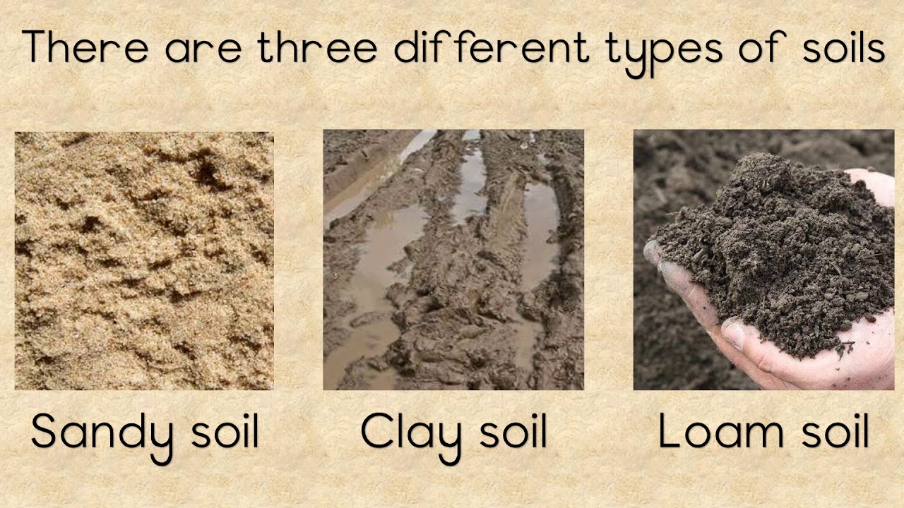 SOIL - Different types and the importance of Soil - YouTube