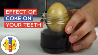 Can Coke Damage Our Teeth? #Shorts #Backtobasics