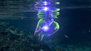 Amazing Underwater Caves - Wonders Of Life W/ Prof Brian Cox - BBC