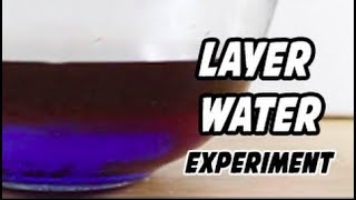 Water Layer Experiment #scienceexperiment #shorts #backtobasics