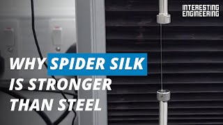 Why spider silk is stronger than steel