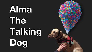 Alma the Talking Dog - Dug the Dog IRL