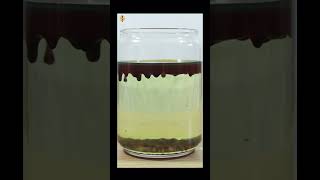 RAINING BLOOD EXPERIMENT #shorts #science #experiments