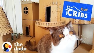 The World's Most Epic Cat Cribs | The Dodo