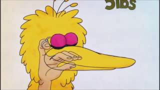 The Mechanics of being Big Bird