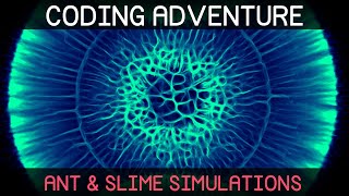 Coding Adventure: Ant and Slime Simulations