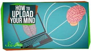 How To Upload Your Mind