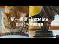 第一饗宴 無穀低敏 兩款任選 4.54kg FirstMate WDJ 單一蛋白 低GI 貓飼料 product youtube thumbnail