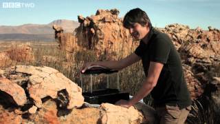 Brian Cox Builds a Cloud Chamber - Wonders of Life - Series 1 Episode 3 Preview - BBC Two