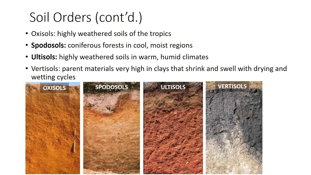 Site Classification Cq Soil Testing - Vrogue