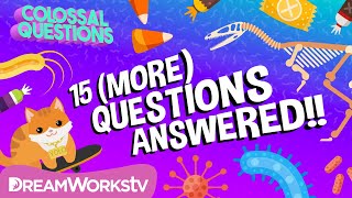 15 (More) Quick Questions Answered!! | COLOSSAL QUESTIONS