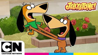 How Many Augie Doggie's?! | Jellystone | @cartoonnetworkuk