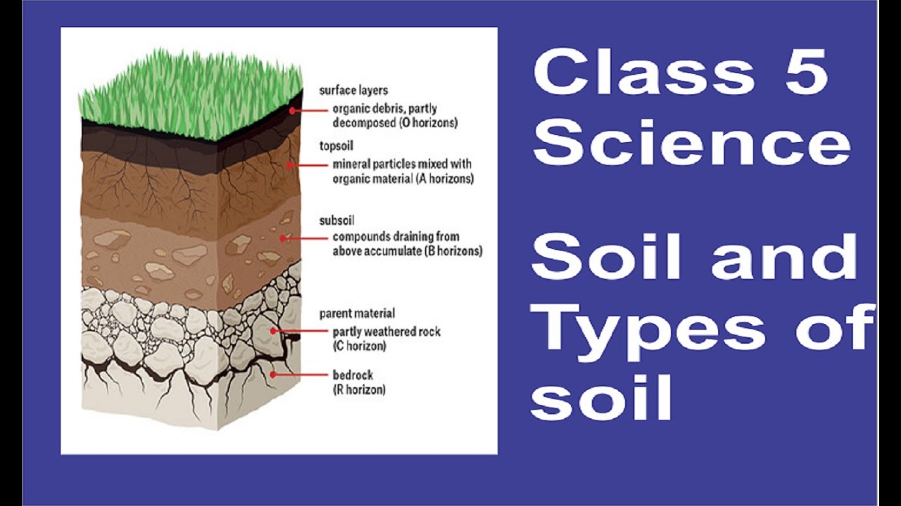 Different Types Of Soil For Kids