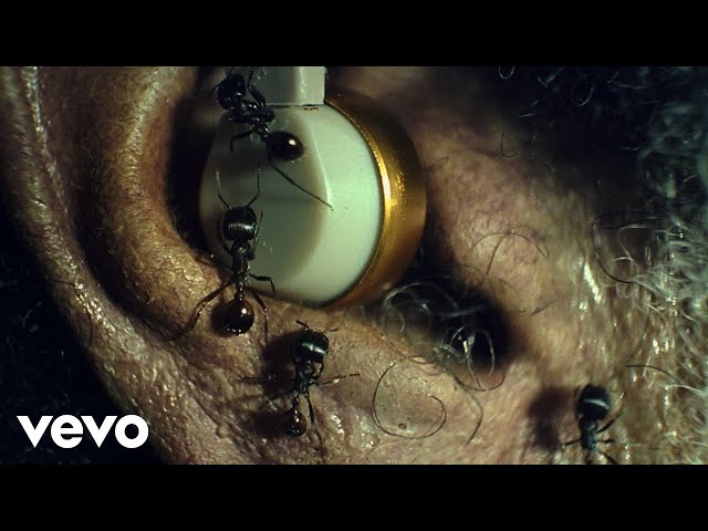 The Weeknd - Sacrifice (Official Music Video)