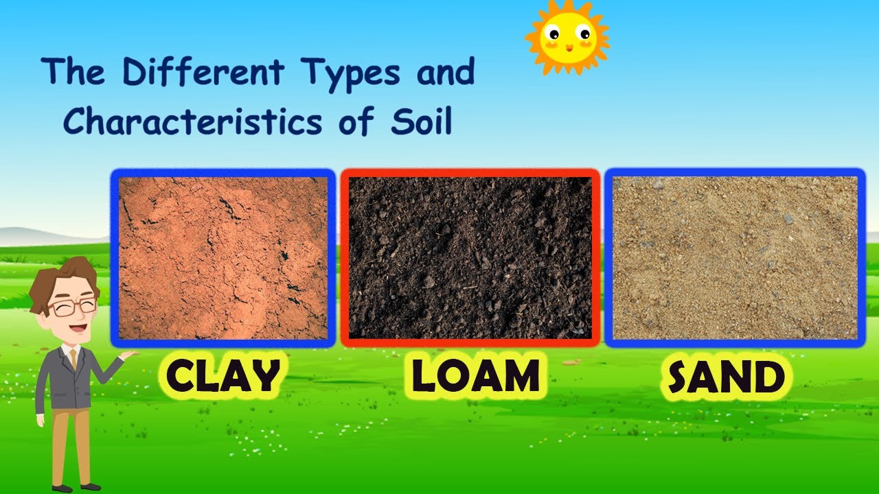 Lesson Plan In Science 4 Types Of Soil | Images and Photos finder