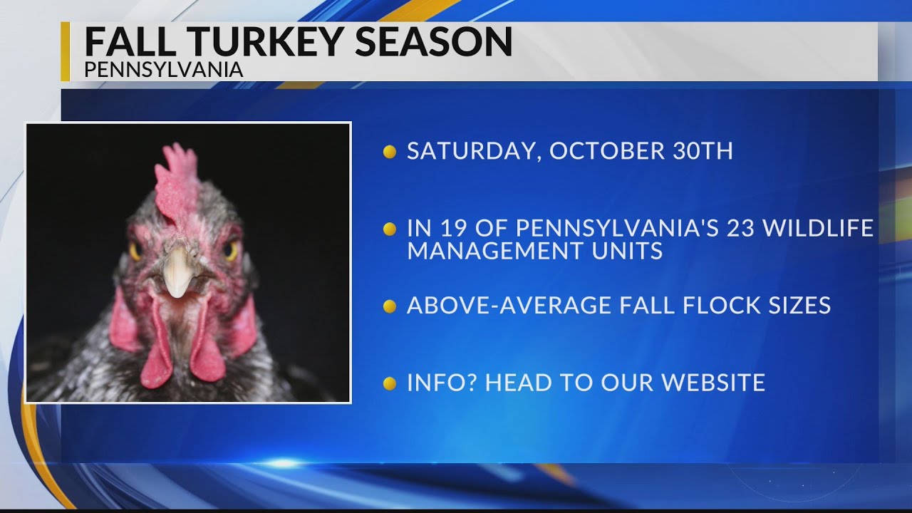 When does fall turkey season start in Pennsylvania? Here's what you