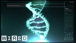 DNA Editing: Doping Of The Future?