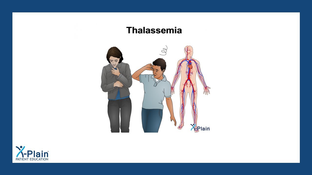 Thalassemia - YouTube