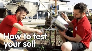 How to test the soil in your garden | Do Try This At Home | We The Curious