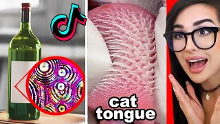 Cool Things I Learned On Tik Tok