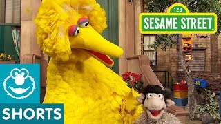 Sesame Street: Big Bird's Joke | #ShareTheLaughter