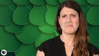 Everything You Didn't Want To Know About Snot