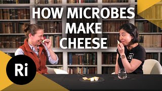 The Science of Cheese - Ri Science Podcast with Bronwen Percival