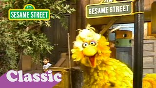 Sesame Street: Big Bird Loves His Street