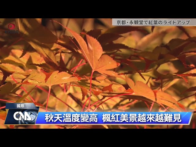 日韓紅葉遲到 氣候變遷衝擊秋季美景