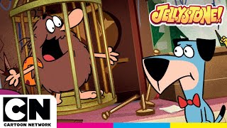 Out Of Control Caveman Party! | Jellystone | @cartoonnetworkuk