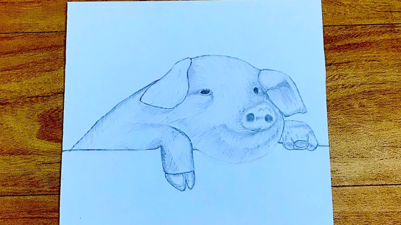 How To Draw A Pig Face Realistic