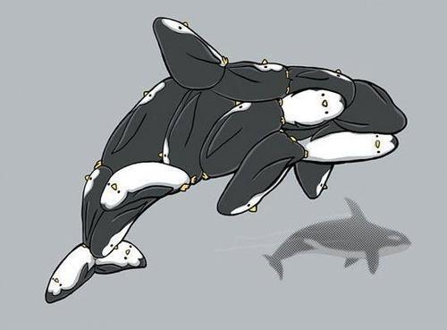 penguin orca (porca) | When You See it... | Know Your Meme