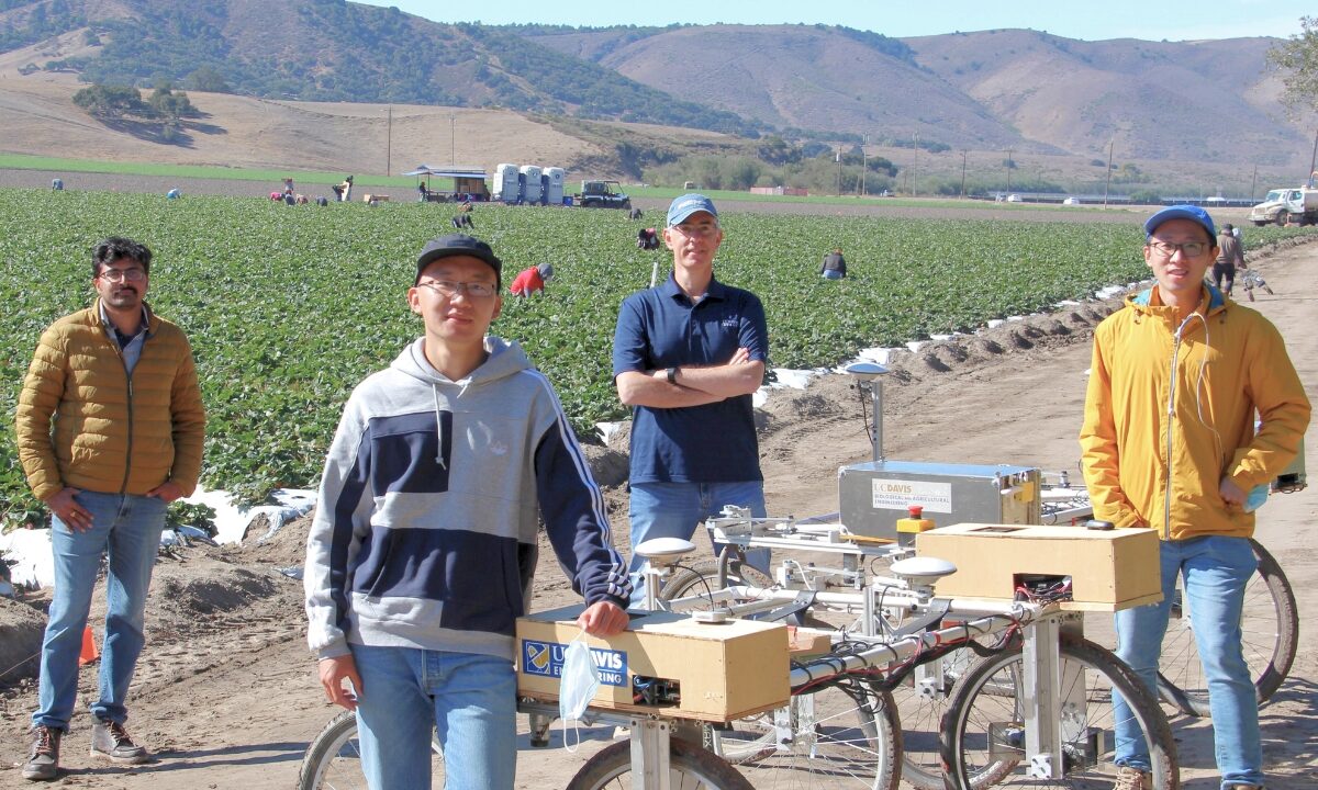 One faculty member and three students stand on a track next to a strawberry field. One student is leaning on a robotic system mounted on bicycle tires connected by pipes and wires.