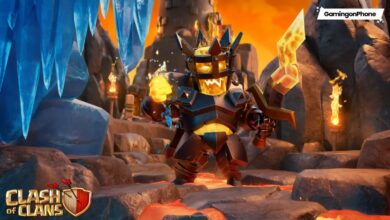 Barbarian King Fire showcase Clash of Clans