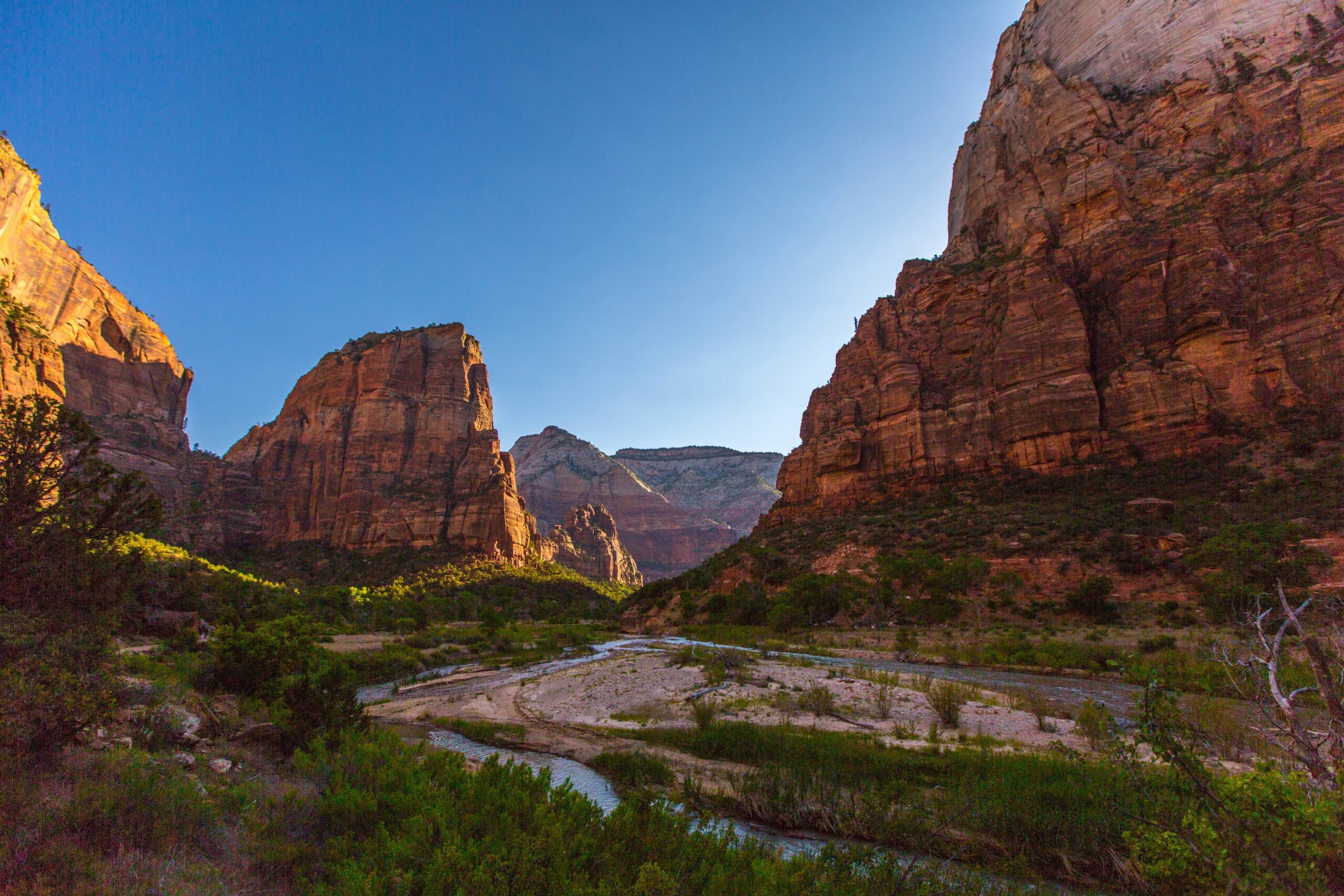 Red rock formations in Zion National Park with a clear blue sky in the background.