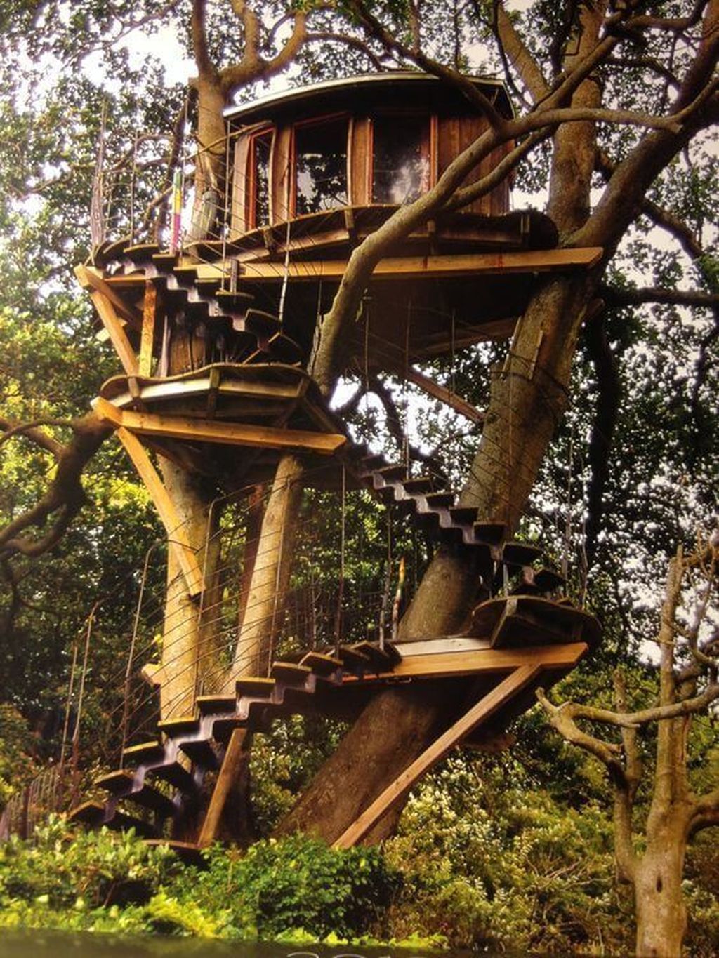 Stunning Tree House Designs You Never Seen Before 16